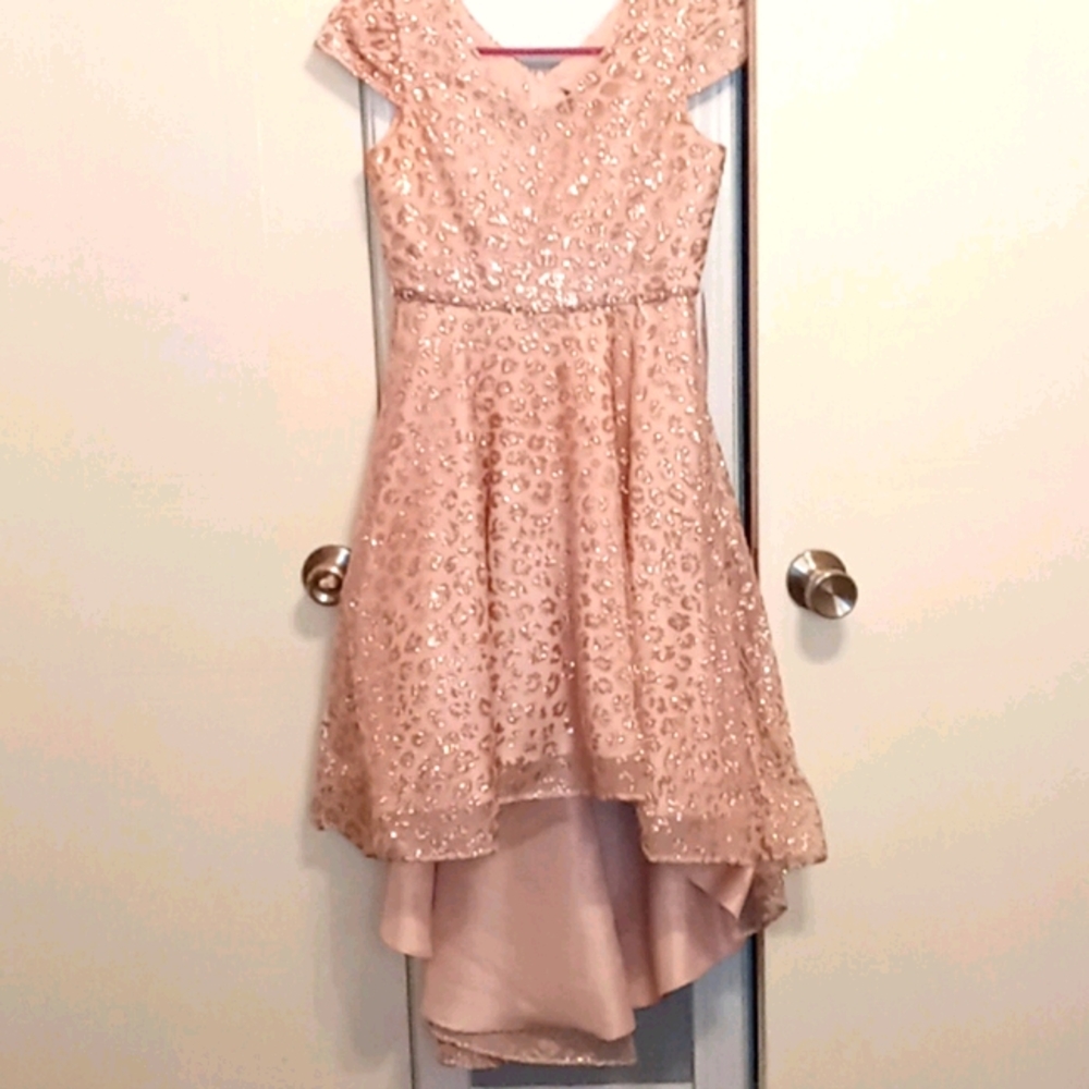 Pink Formal Girls sz 14 Dress